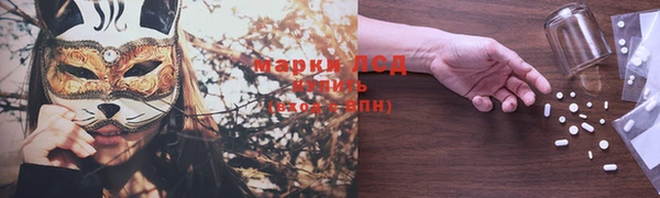 молекула духа Богородицк