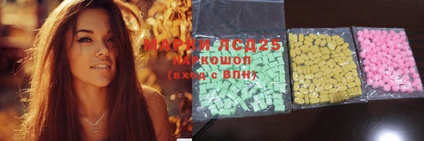 молекула духа Богородицк
