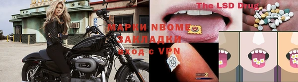 молекула духа Богородицк