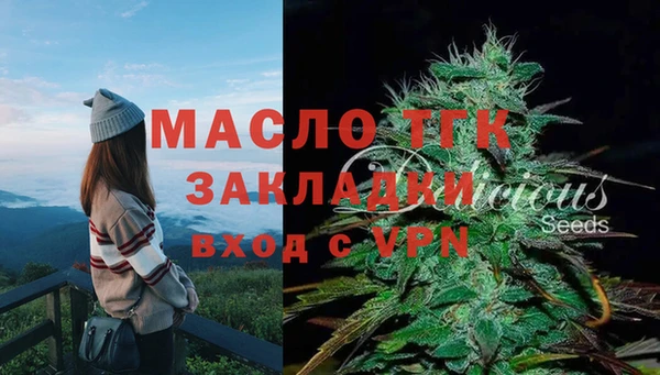 молекула духа Богородицк