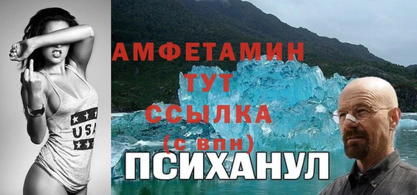 молекула духа Богородицк