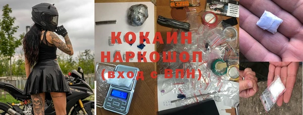 молекула духа Богородицк