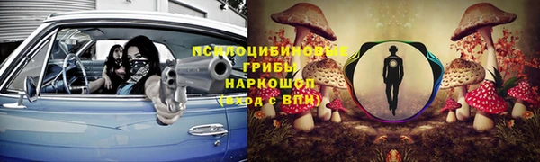 дживик Богданович